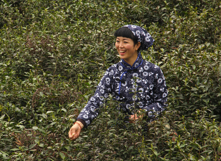 湿漉漉的吻